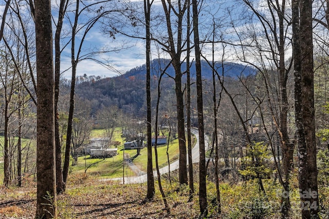 Listing photo 2 for 00 Snipes Rd, Rosman NC 28772