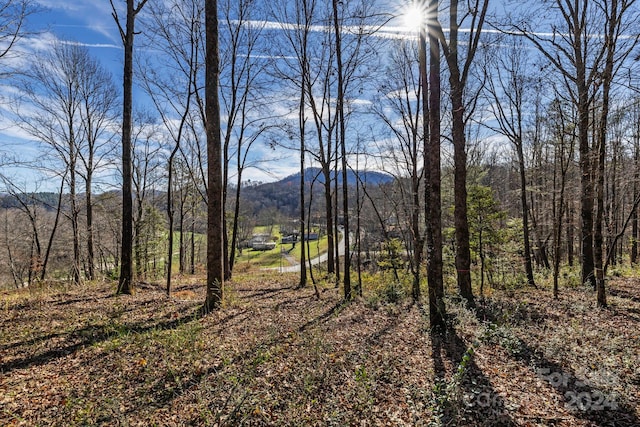 Listing photo 3 for 00 Snipes Rd, Rosman NC 28772