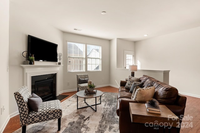 living room featuring hardwood / wood-style flooring