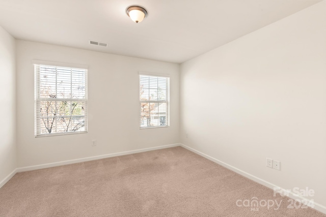 carpeted empty room with a healthy amount of sunlight