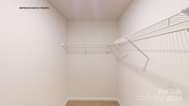 walk in closet with carpet