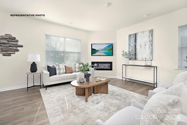 living room with hardwood / wood-style floors