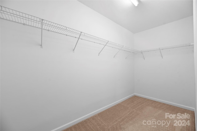 walk in closet featuring carpet