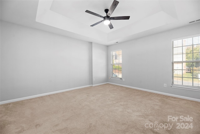 unfurnished room featuring a raised ceiling, a wealth of natural light, and light carpet