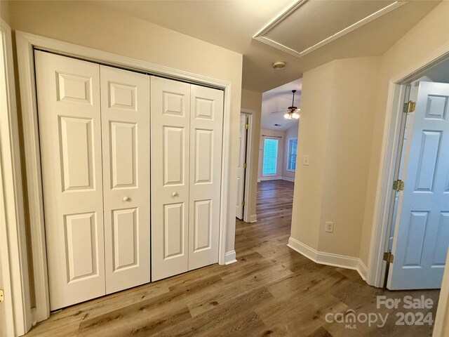 hallway featuring hardwood / wood-style flooring