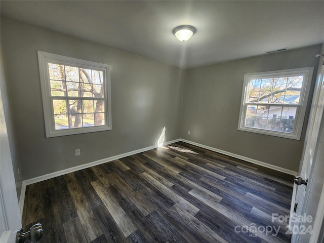 unfurnished room featuring a wealth of natural light and dark wood-type flooring