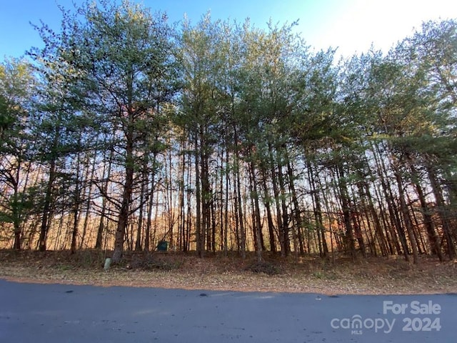 1420 Windemere Ln, Hickory NC, 28602 land for sale