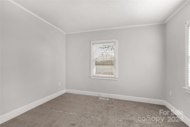 spare room featuring crown molding, carpet, and a textured ceiling