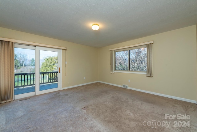 208 Dogwood Ln, Black Mountain, NC 28711 - unfurnished room with a textured ceiling, light colored carpet, and a healthy amount of sunlight