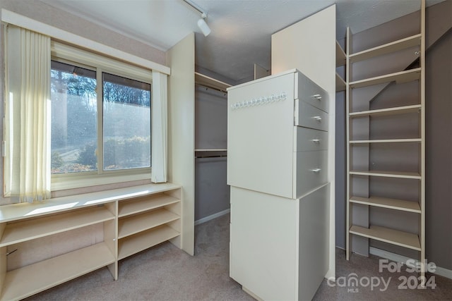 208 Dogwood Ln, Black Mountain, NC 28711 - walk in closet with carpet