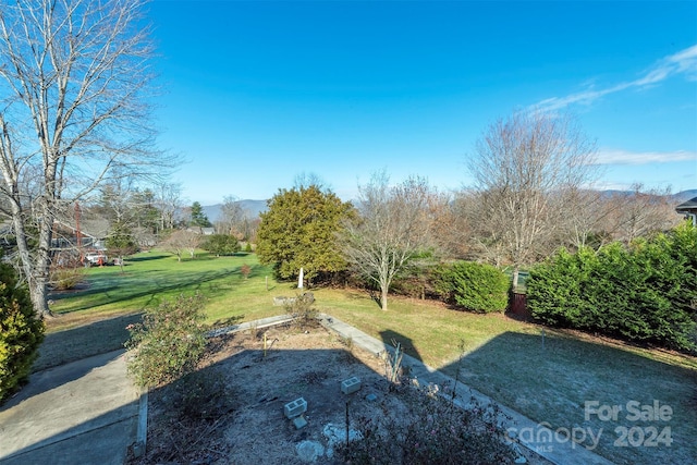 208 Dogwood Ln, Black Mountain, NC 28711 - view of yard
