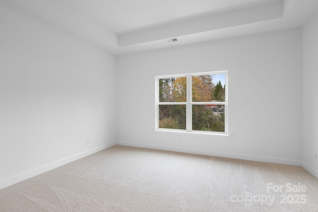 spare room with a raised ceiling and carpet