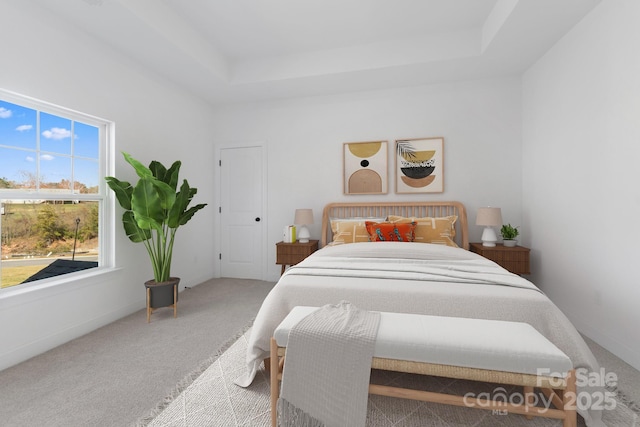 bedroom with a tray ceiling and carpet flooring