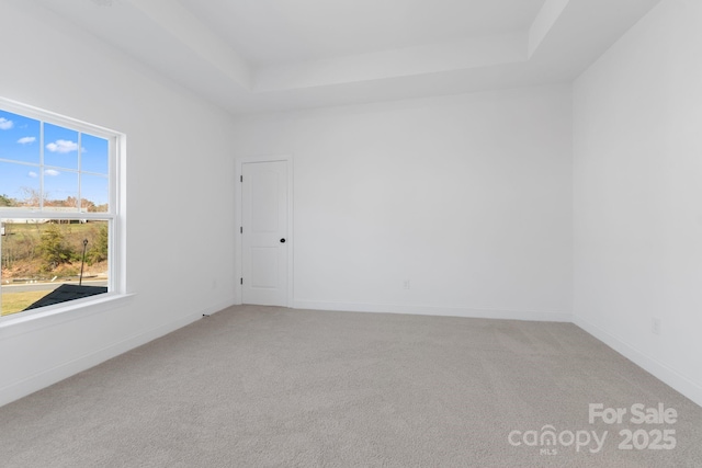 carpeted spare room with a raised ceiling