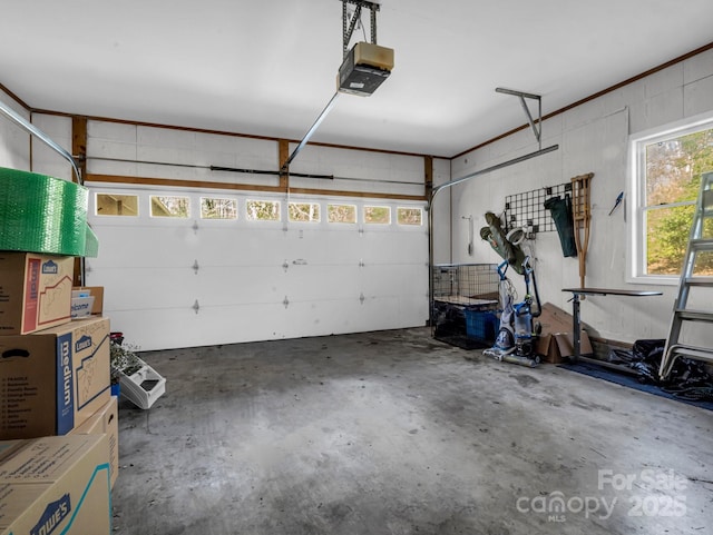 garage featuring a garage door opener