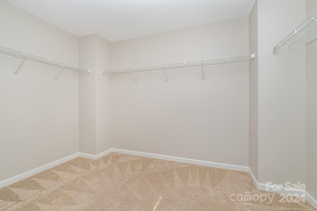 walk in closet with carpet floors