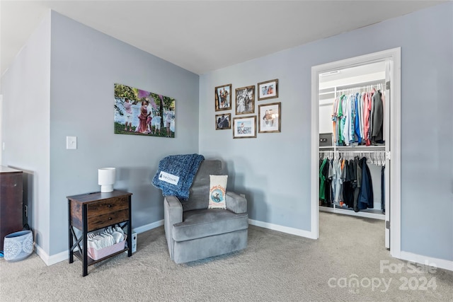 sitting room with carpet floors