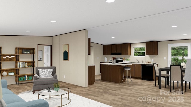 living room with light hardwood / wood-style flooring and sink