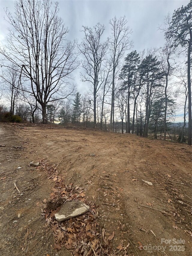 view of local wilderness