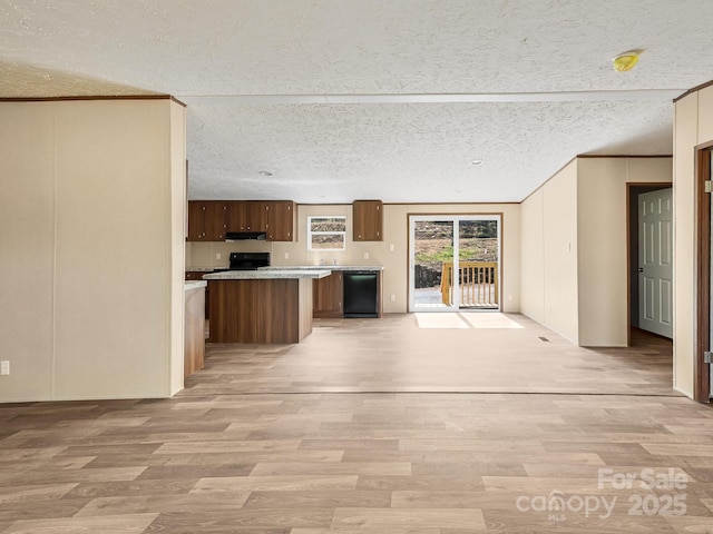 20 Windy Mountain Ln Unit 1, Hendersonville, NC 28792 - unfurnished living room with light wood-style flooring, a textured ceiling, and a sink