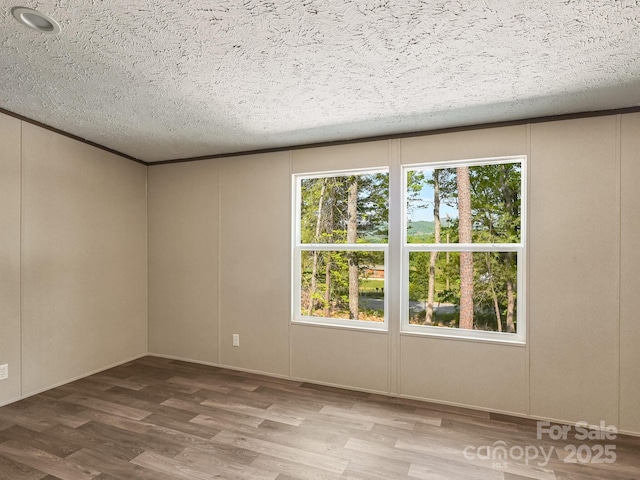 20 Windy Mountain Ln Unit 1, Hendersonville, NC 28792 - unfurnished room featuring wood finished floors, a decorative wall, and a textured ceiling