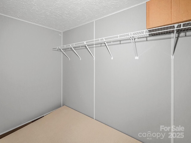 20 Windy Mountain Ln Unit 1, Hendersonville, NC 28792 - view of spacious closet