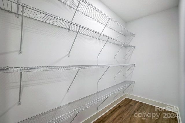 walk in closet featuring dark hardwood / wood-style floors