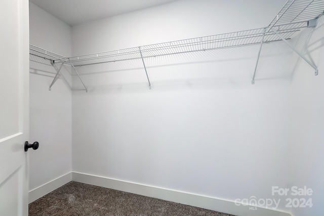 walk in closet with dark carpet