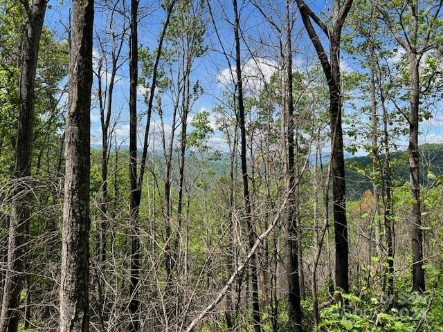 LOT8 Falls View Dr, Bryson City NC, 28713 land for sale