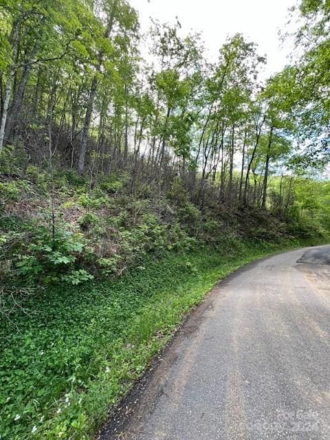 Listing photo 2 for LOT8 Falls View Dr, Bryson City NC 28713