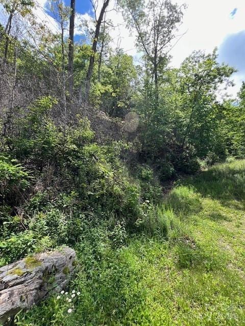 LOT8 Falls View Dr, Bryson City, NC 28713
