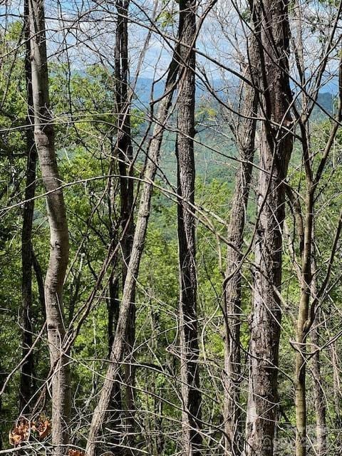 LOT8 Falls View Dr, Bryson City, NC 28713
