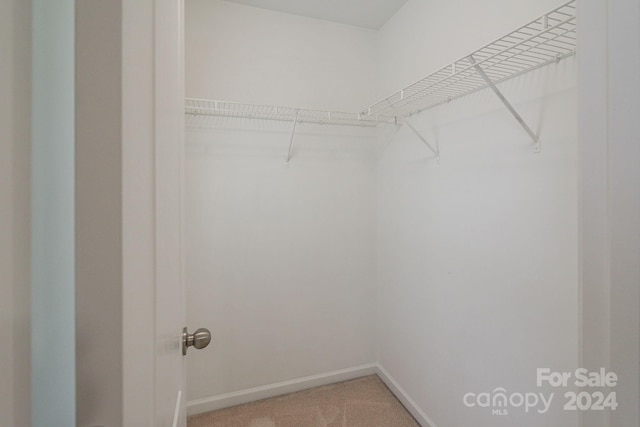 spacious closet featuring carpet floors