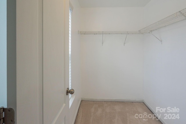 walk in closet featuring light colored carpet