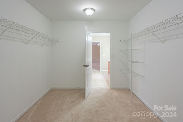 walk in closet with light carpet