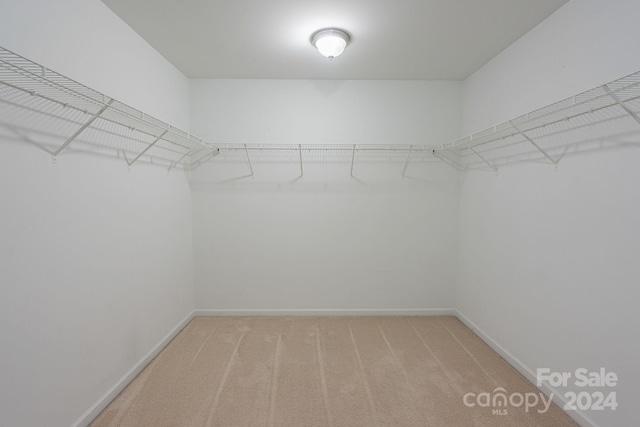 spacious closet featuring carpet