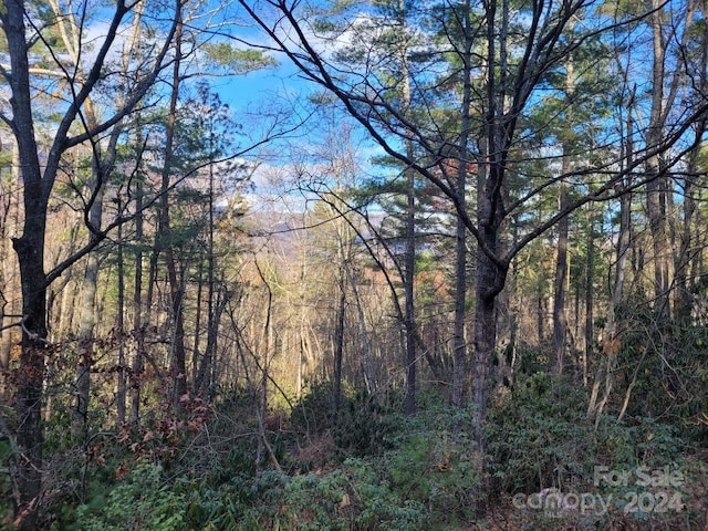 00 Deer Ridge Trl, Marion NC, 28752 land for sale