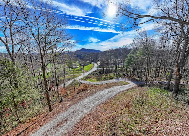 L2 Pickens Hwy Unit 2, Rosman NC, 28772 land for sale