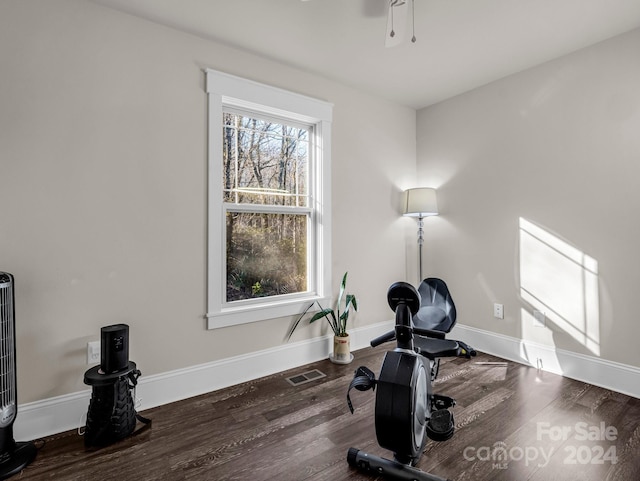 exercise area featuring dark hardwood / wood-style flooring