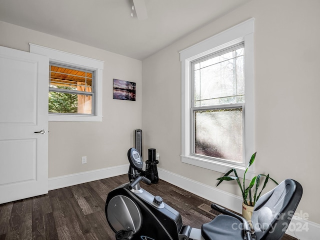 exercise area featuring dark hardwood / wood-style flooring and a healthy amount of sunlight