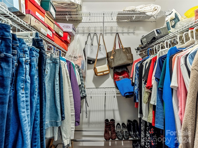 view of walk in closet