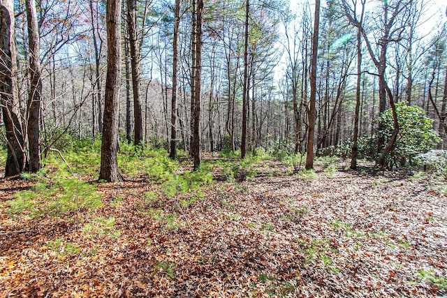 TBD Cherrywood Ln Unit B, Pisgah Forest NC, 28768 land for sale