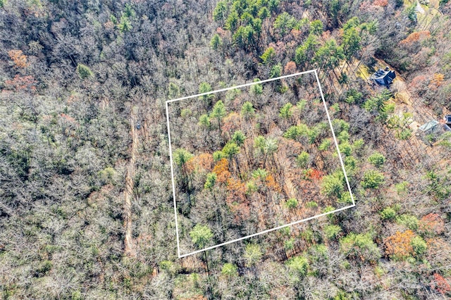 Listing photo 3 for TBD Cherrywood Ln Unit B, Pisgah Forest NC 28768