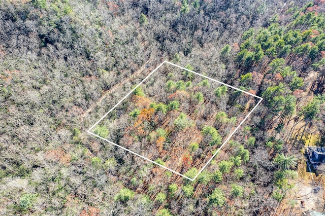 TBD Cherrywood Ln Unit B, Pisgah Forest, NC 28768 - photo 4