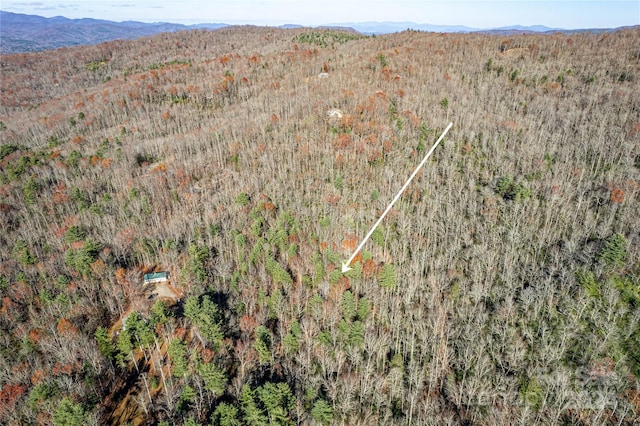 TBD Cherrywood Ln Unit B, Pisgah Forest, NC 28768 - photo 6