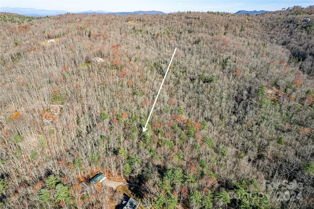 TBD Cherrywood Ln Unit B, Pisgah Forest, NC 28768 - photo 7