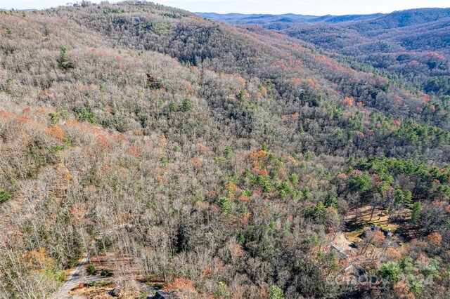 TBD Cherrywood Ln Unit B, Pisgah Forest, NC 28768 - photo 9