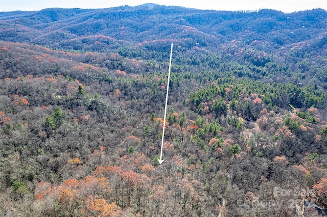 TBD Cherrywood Ln Unit B, Pisgah Forest, NC 28768 - photo 10