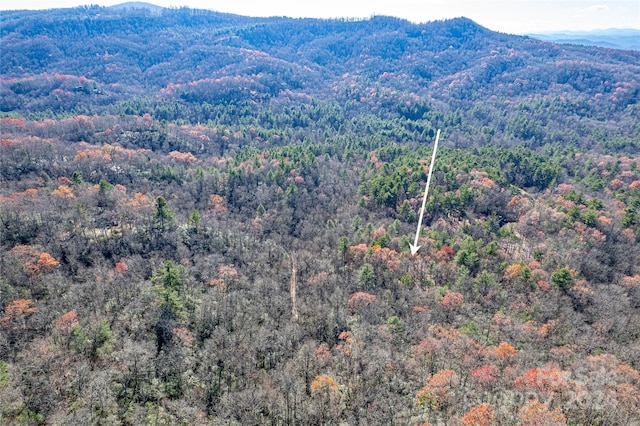 TBD Cherrywood Ln Unit B, Pisgah Forest, NC 28768 - photo 11