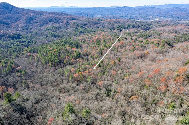 TBD Cherrywood Ln Unit B, Pisgah Forest, NC 28768 - photo 12